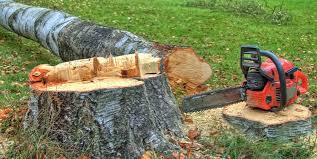 Best Emergency Tree Removal  in Beaver, UT