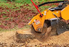 Best Lot and Land Clearing  in Beaver, UT