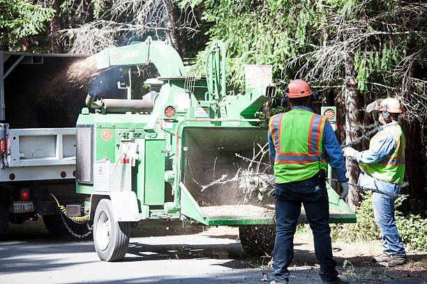 Best Aeration Services  in Beaver, UT